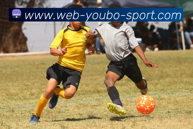 友博体育APP 封面图